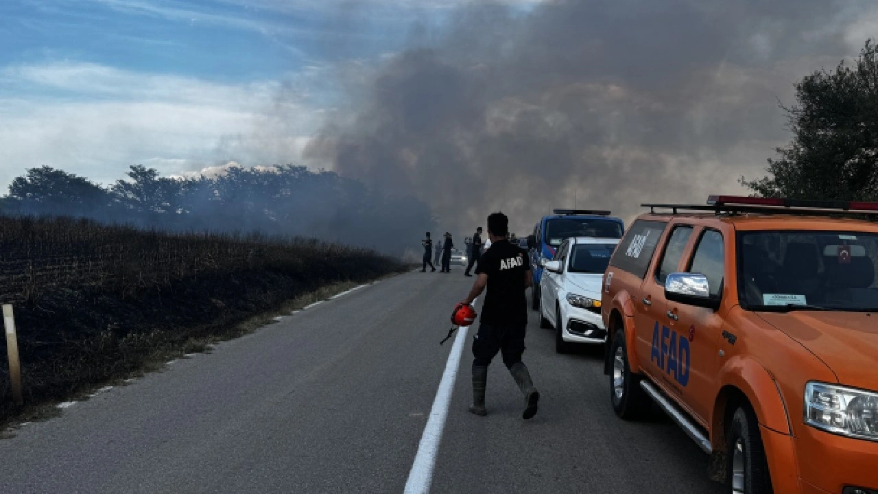 Edirne'deki anız yangını ağaçlık alana sıçradı