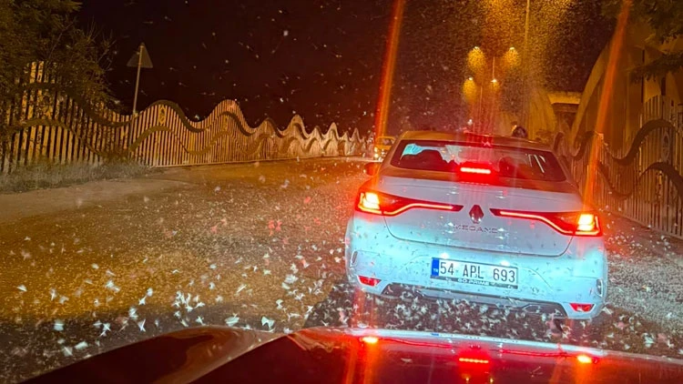 Sakarya'da milyonlarca kelebeğin ölüm dansı