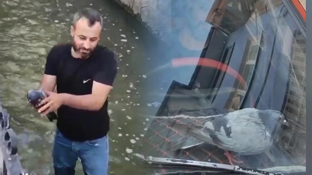 Su kanalından kurtardı, ismini 'Boncuk' koydu