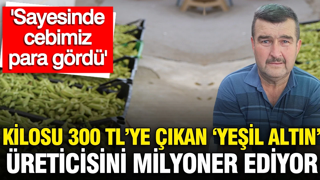 Kilosu 300 TL'ye çıkan 'yeşil altın' üreticisini milyoner ediyor: 'Sayesinde cebimiz para gördü'