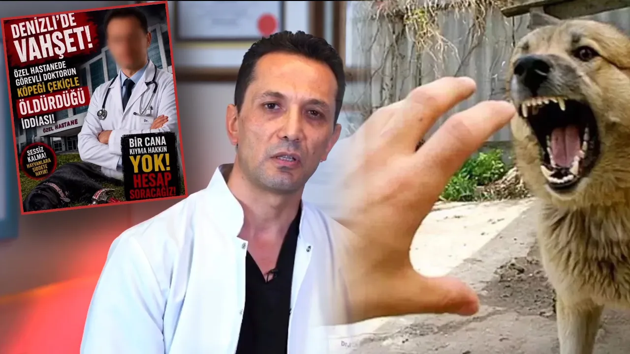 Çocukları köpek saldırısından kurtaran doktor hedef oldu