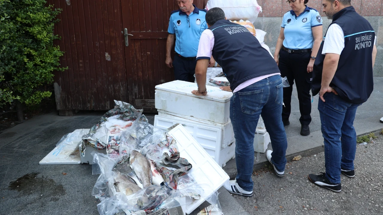 Antalya Otogarı'nda balık operasyonu: 260 kilo ele geçirildi