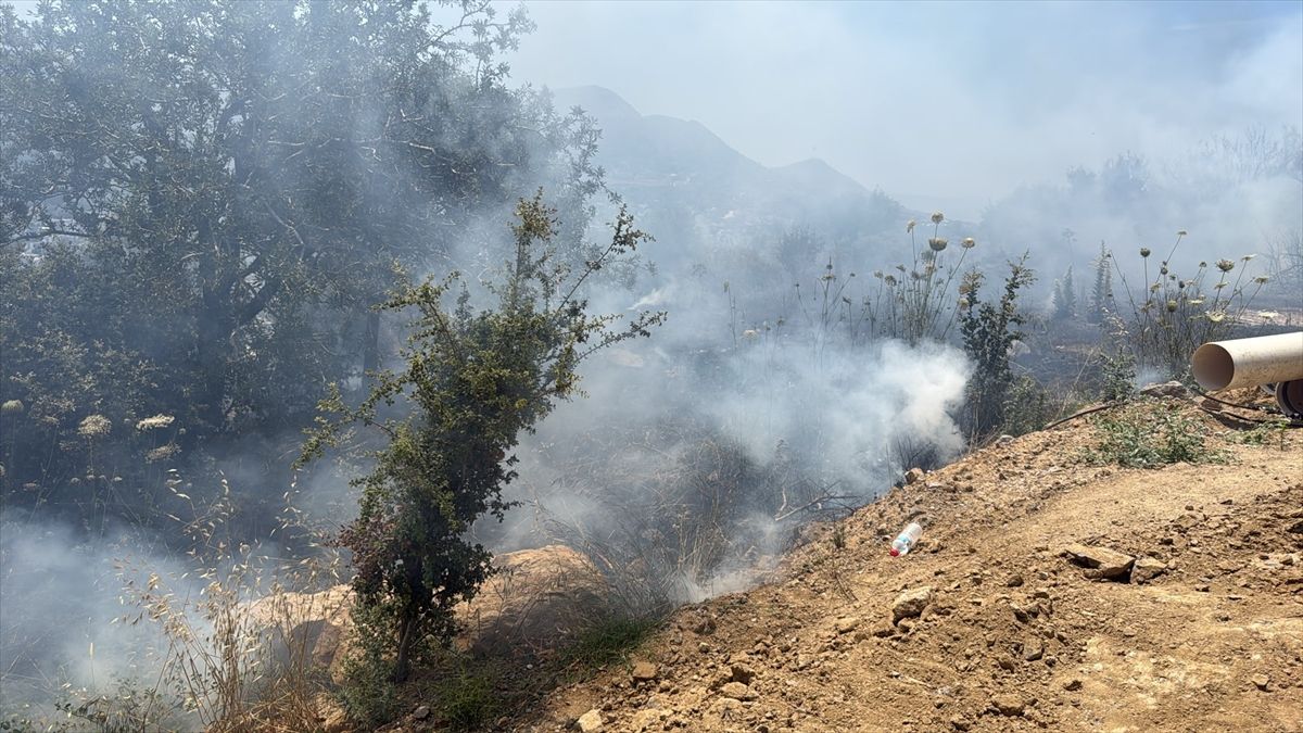 Bodrum'da makilik alanda çıkan yangın söndürüldü