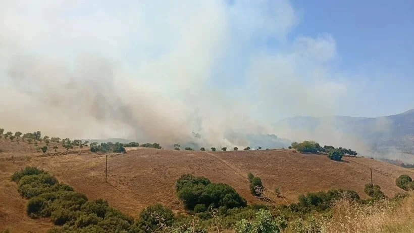 İzmir'de korkutan yangın! Ekiplerin havadan ve karadan müdahalesiyle söndürüldü!