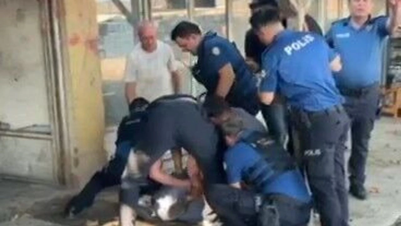 İznik sebze hali'nde ilginç olay: Uzaklaştırılan şahsın üzerindeki para şaşırttı