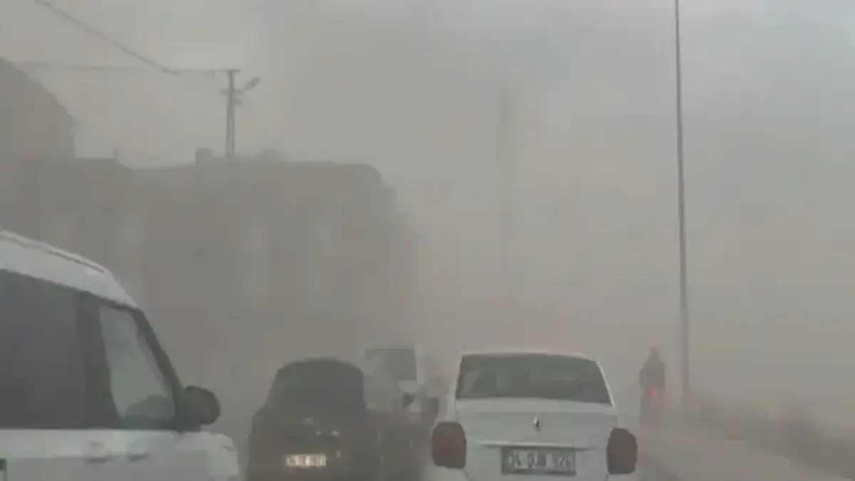Meteoroloji uyarmıştı! İstanbul'da fırtına etkili oldu, ağaçlar devrildi