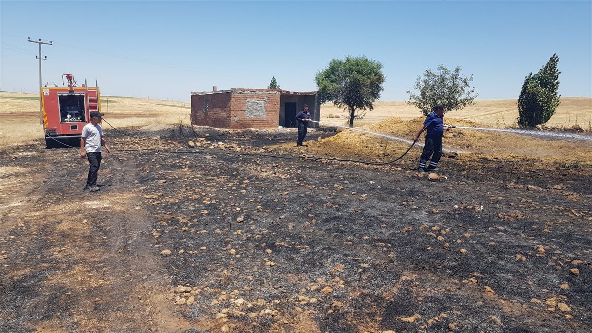 Mardin'in 4 ilçesinde çıkan yangınlar söndürüldü