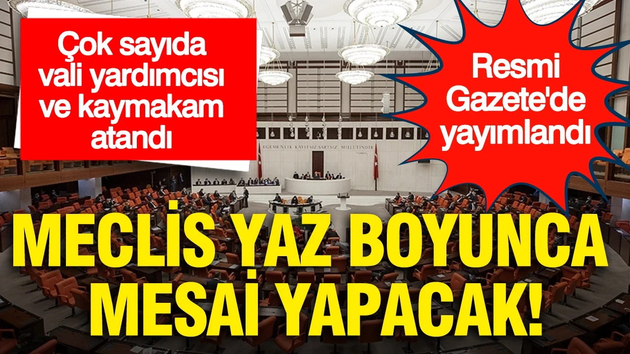 TBMM yaz boyunca mesai yapacak: Çok sayıda vali yardımcısı ve kaymakam atandı