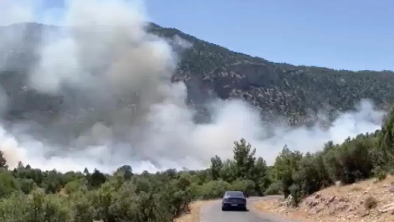 Son Dakika... Antalya'da orman yangını!