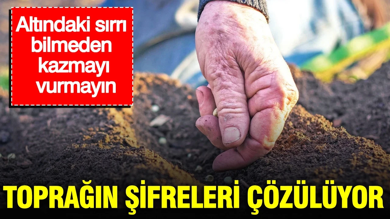 Toprağın şifreleri çözülüyor: Baltayı vurmadan önce kararınızı gözden geçirin