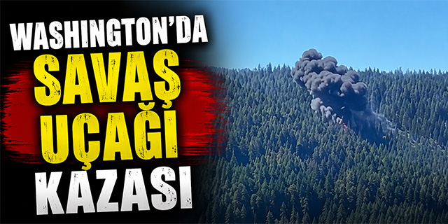Washington'da Savaş Uçağı Kazası