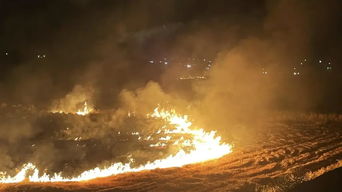 Şanlıurfa'da anız yakan 303 kişiye 21,2 milyon liralık ceza