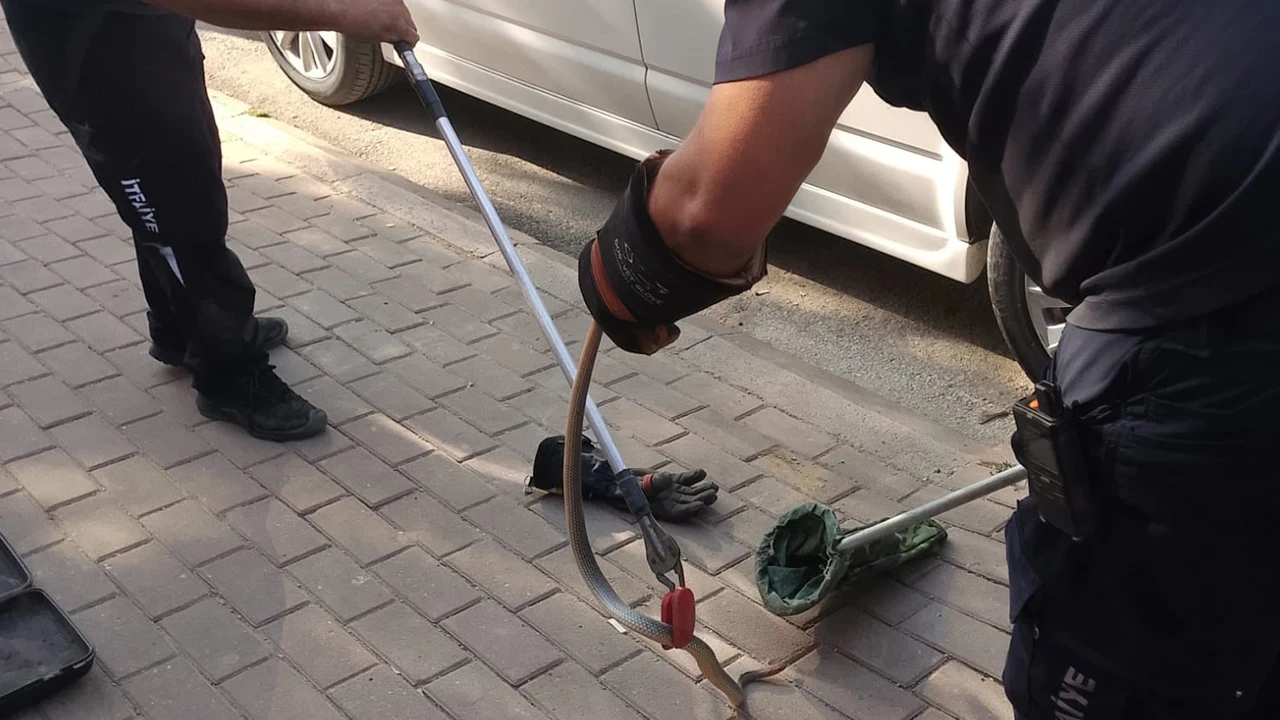 Park halindeki minibüste korkutan anlar: Motor kısmından çıkan şey görenleri şaşırttı