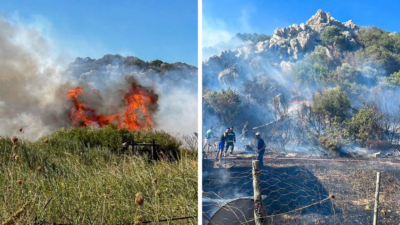 Muğla'da korkutan yangın