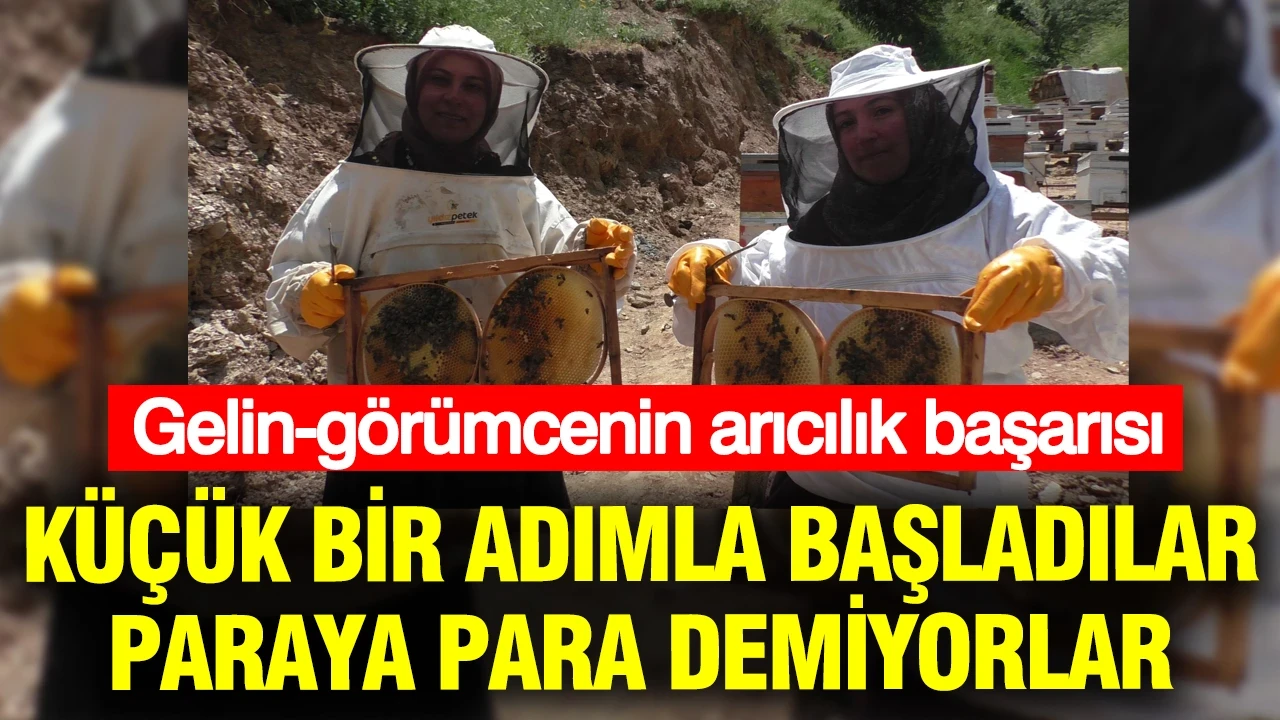 Küçük bir adımla başladılar, paraya para demiyorlar: Gelin-görümcenin arıcılık başarısı