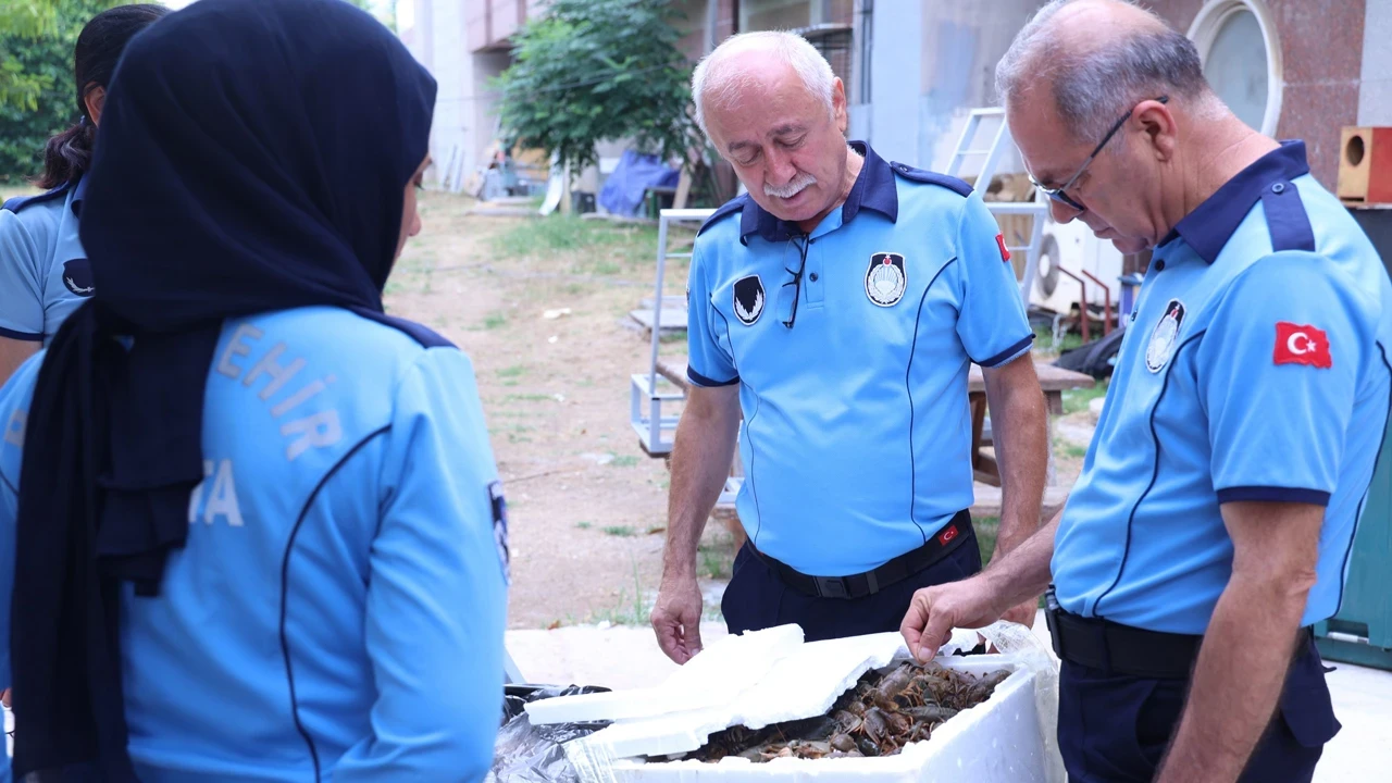 Antalya otogarında 90 kilo kerevit ele geçirildi