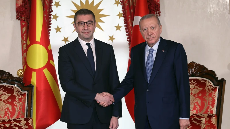 Cumhurbaşkanı Erdoğan Kuzey Makedonya Başbakanı Mickoski'yi kabul etti