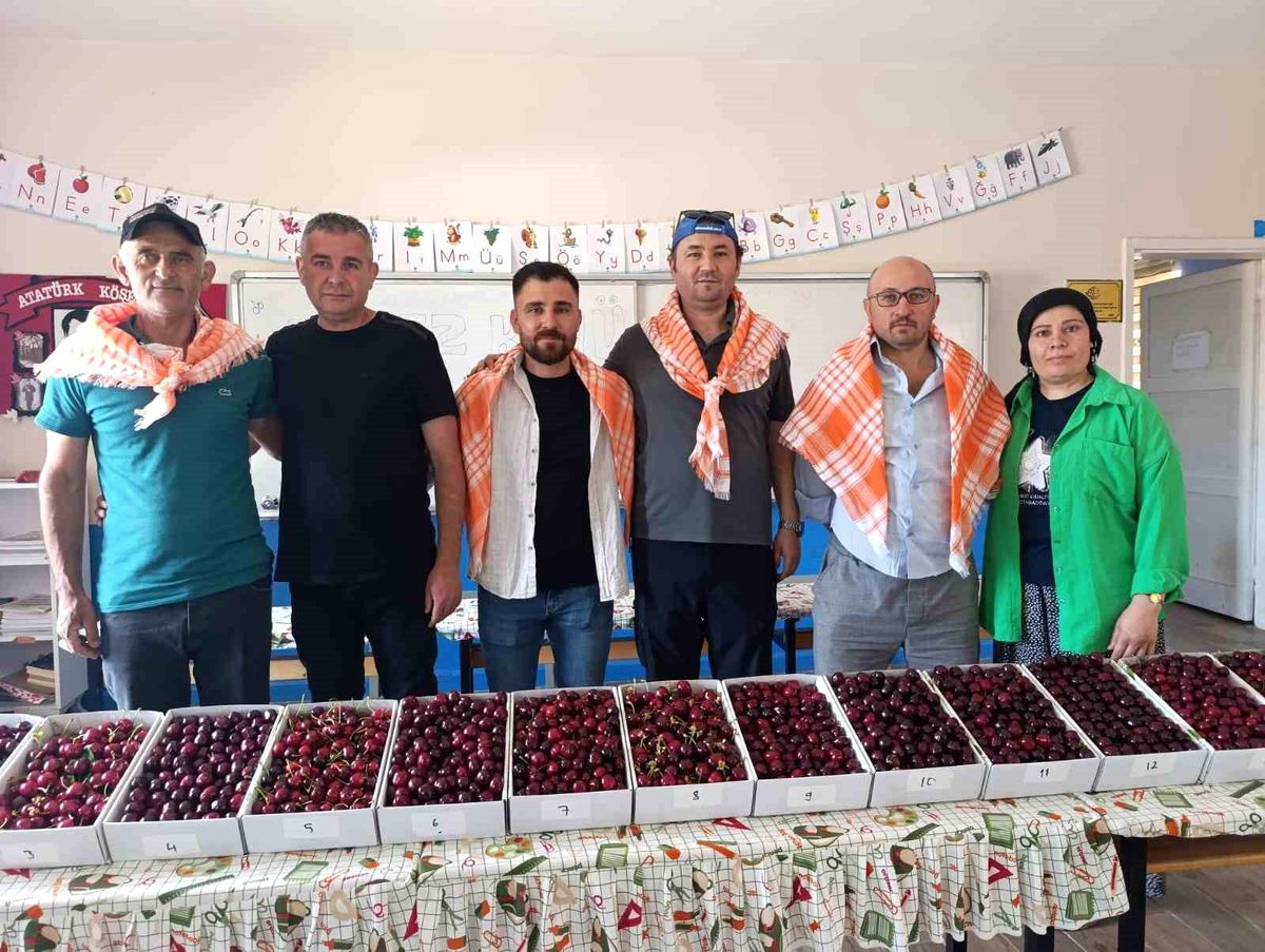 Binlerce insan Kiraz Festivali için Börez'e akın etti