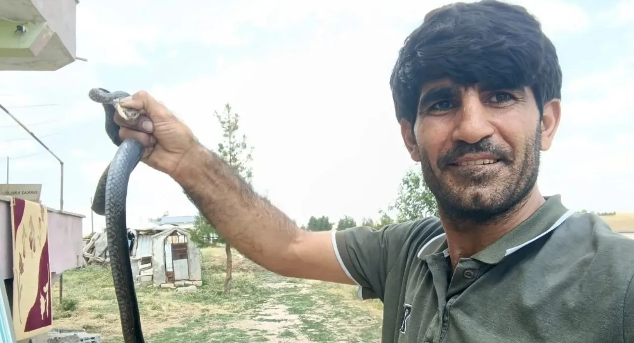 "O da bir canlı" diyerek evine giren yılanı eliyle yakalayıp doğaya bıraktı