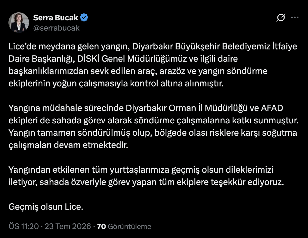 Lice'deki Yangın Kontrol Altına Alındı