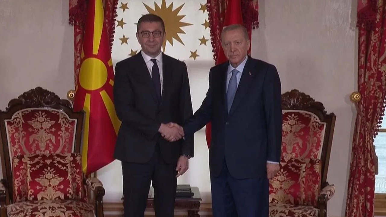 Cumhurbaşkanı Erdoğan, Kuzey Makedonya Başbakanı'nı kabul etti