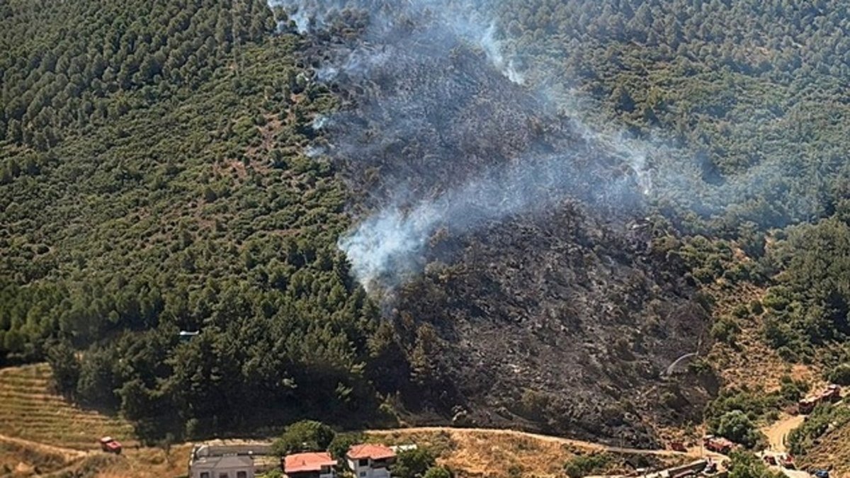Son dakika: Balıkesir'de orman yangını | Havadan ve karadan müdahale