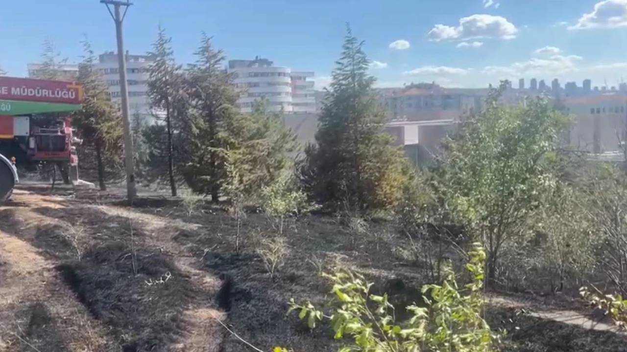 ODTÜ Ormanı'nda Çıkan Yangın Söndürüldü