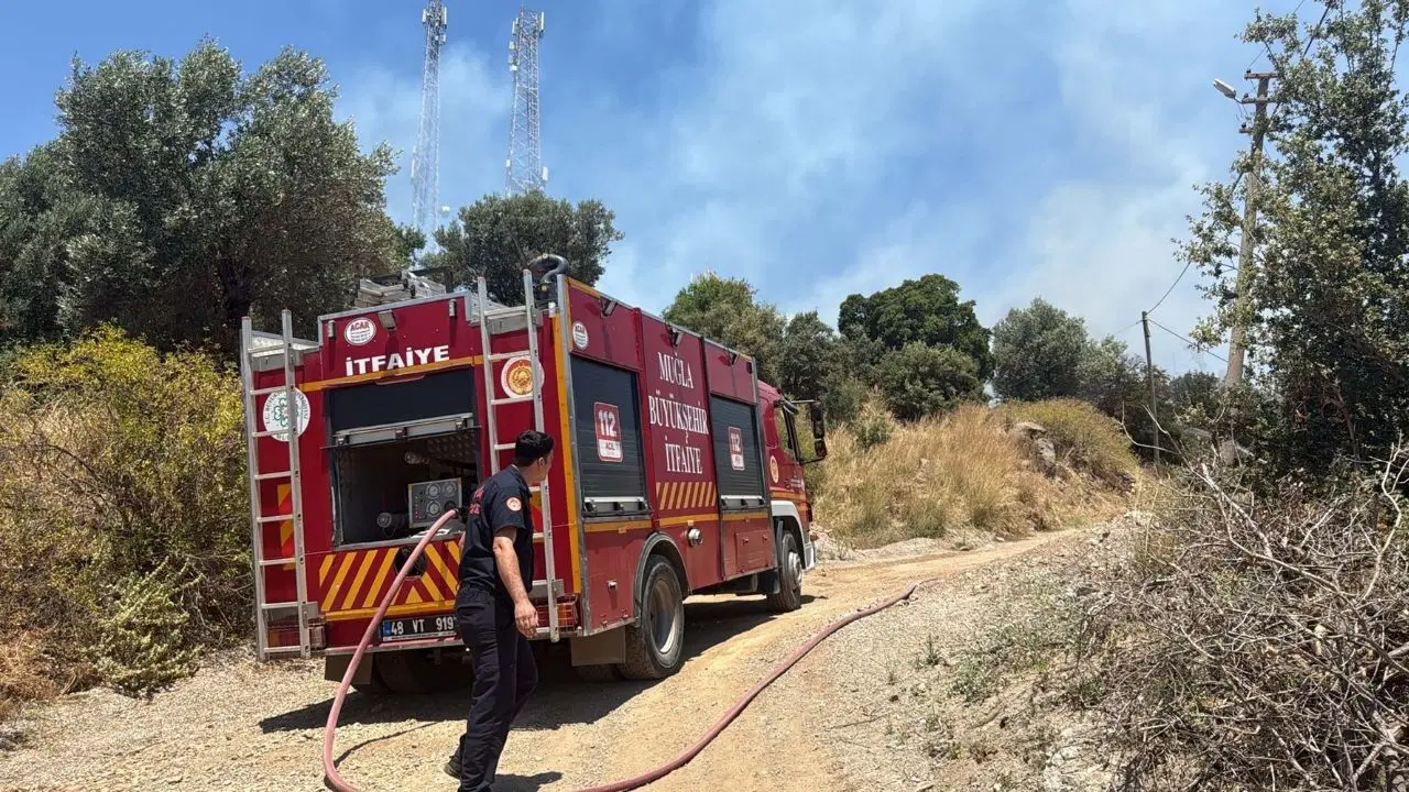 Bodrum'da korkutan maki yangını: Elektrik telleri ark yaptı, alevler yerleşim yerine ulaşmadan söndürüldü