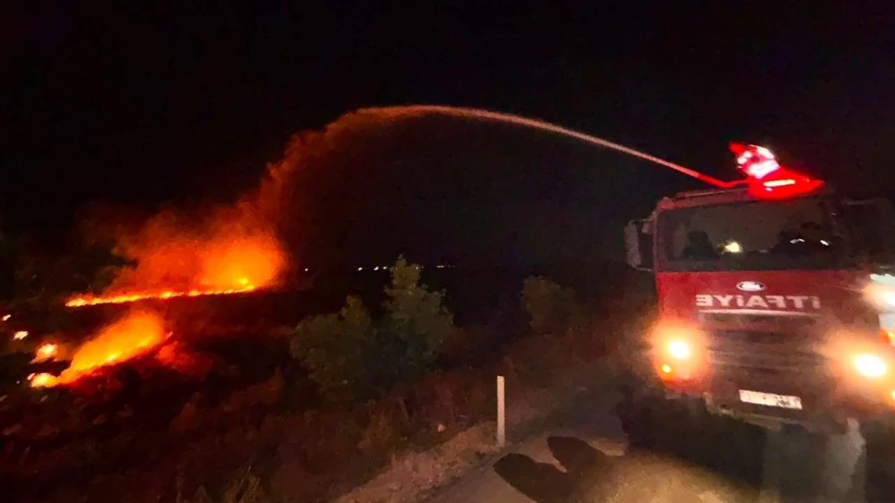 Hatay'da anız yangını zeytinliğe sıçradı
