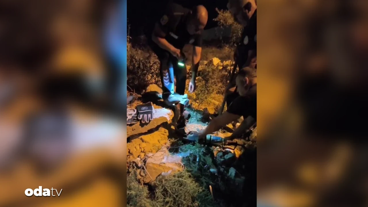 Hatay'da kirpi kurtarma operasyonu