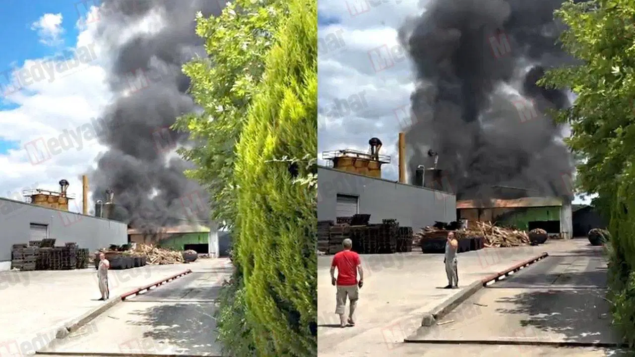 Sakarya'da palet fabrikasında yangın