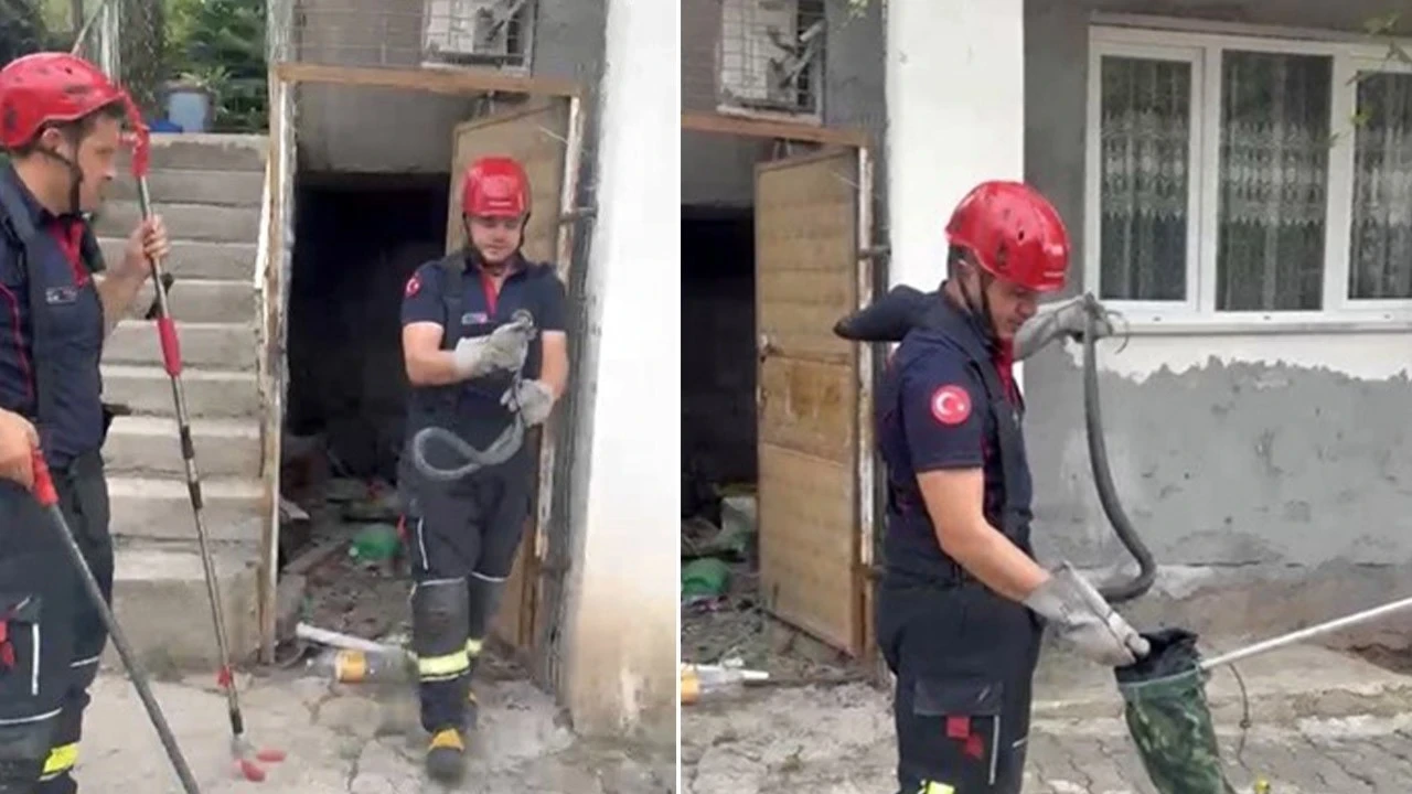 Osmaniye'de evin bahçesinde ortaya çıktı! Vatandaş büyük panik yaşadı
