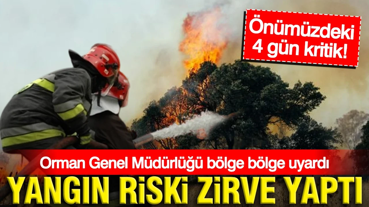 Orman Genel Müdürlüğü gün verdi, bölge bölge uyardı: Yangın riski zirve yaptı