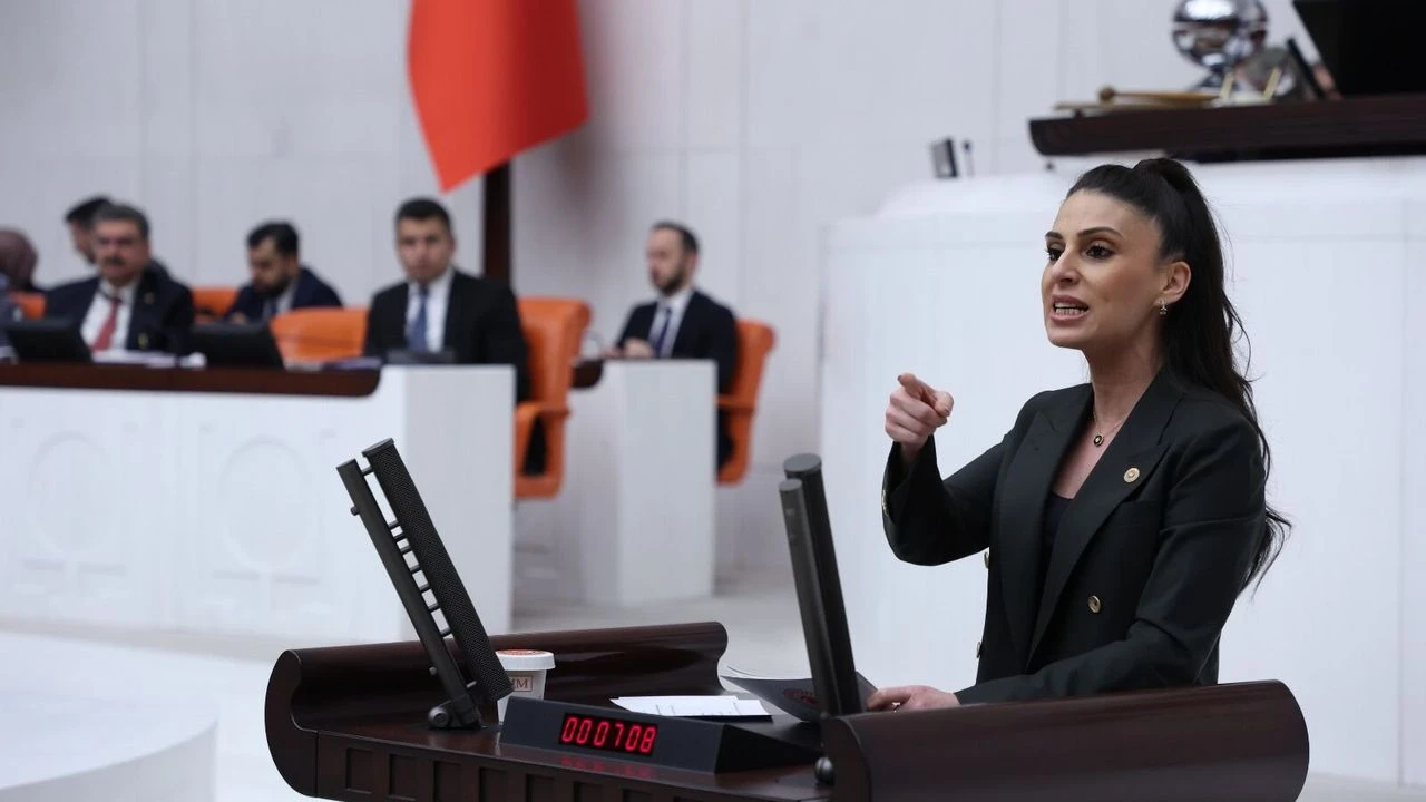 Özcan, Türker'in iddialarını Meclis'e taşıdı