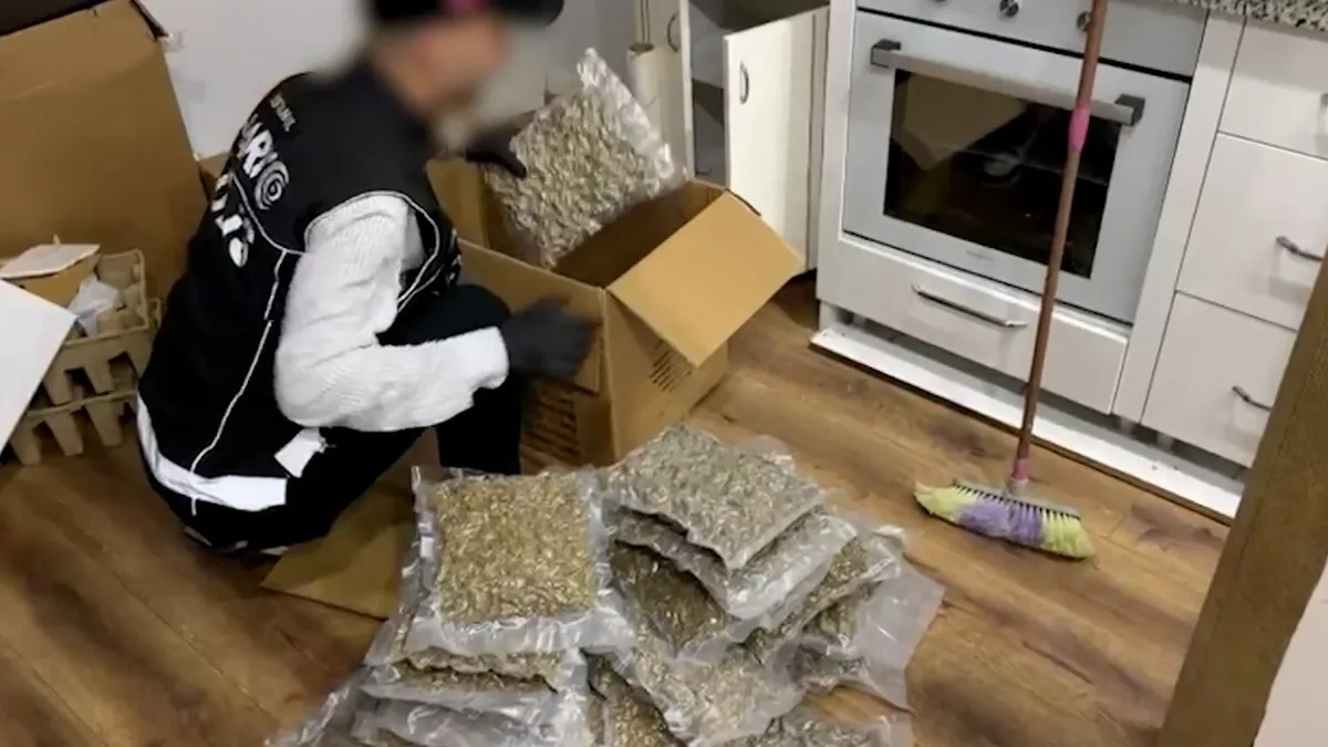 İstanbul'da 3 ilçede eş zamanlı uyuşturucu operasyonu