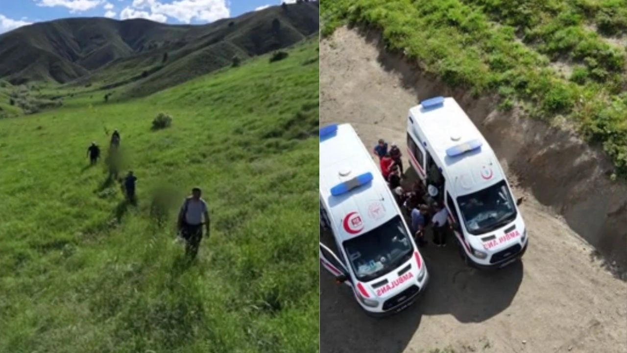 Mantar toplamaya gittiler, ayıyla burun buruna geldiler