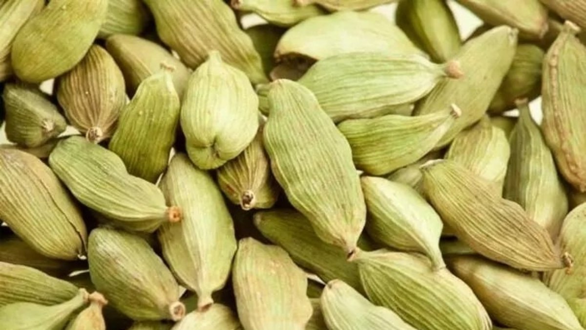 Birçok kişi bilmiyor! Şifa deposu baharat: Kakuleyi tüketmeniz için güçlü nedenler