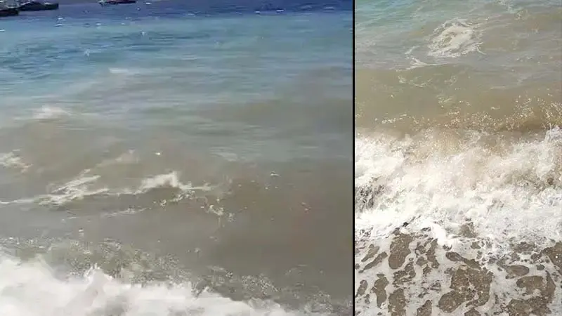 Bodrum'da deniz kirliliği; soruşturma başlatıldı