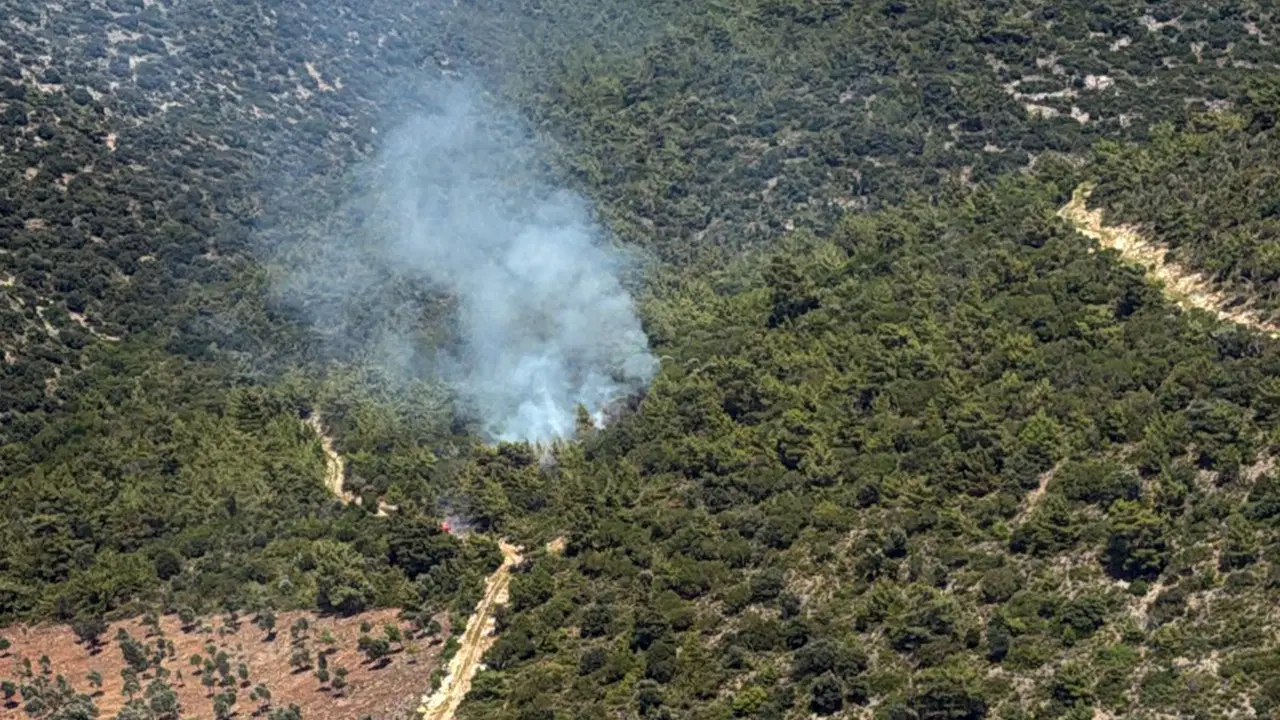 Milas Kazıklı Koyu'nda makilik alanda korkutan yangın!