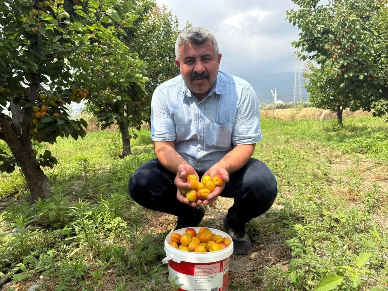 Tavsiye üzerine dikti! 6 yıldır paraya para demiyor