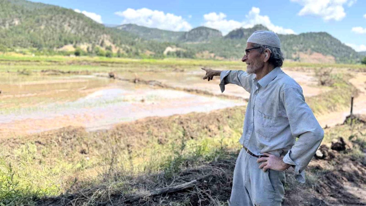 Karabük'te yaka seli çeltik tarlalarını vurdu