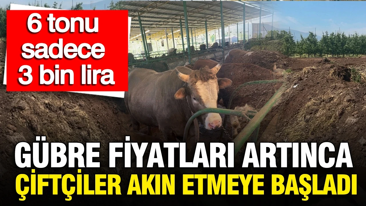 Kimyasal gübre zamları doğal alternatifi öne çıkardı: 6 tonu sadece 3 bin lira