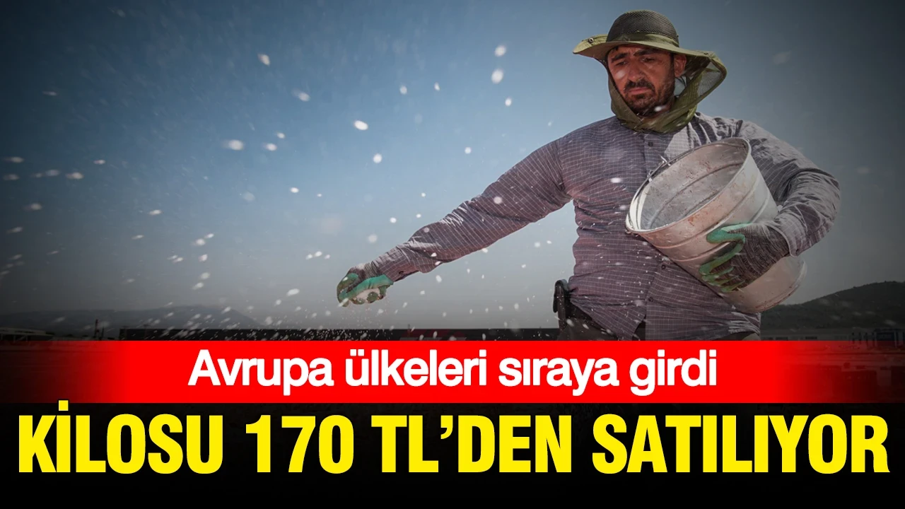 Kilosu 170 TL’den satılıyor: Avrupa ülkeleri sıraya girdi