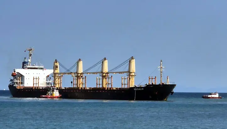 Marmara'da dev yük gemisi karaya oturdu