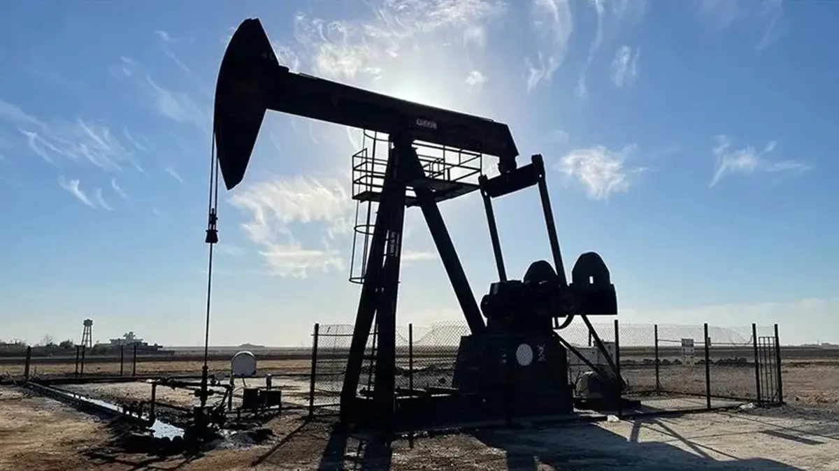 Petrol için düğmeye basıldı! 3 ayrı sahada 5 yıllık ruhsat