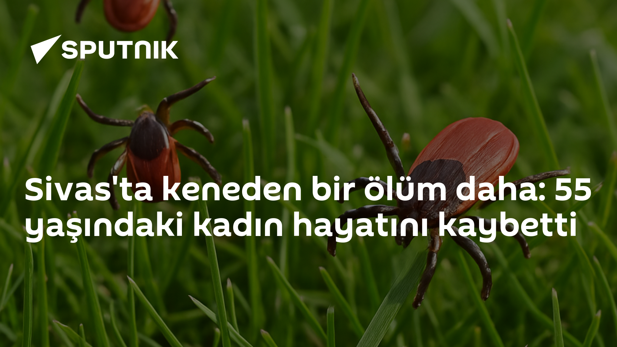 Sivas'ta keneden bir ölüm daha: 55 yaşındaki kadın hayatını kaybetti