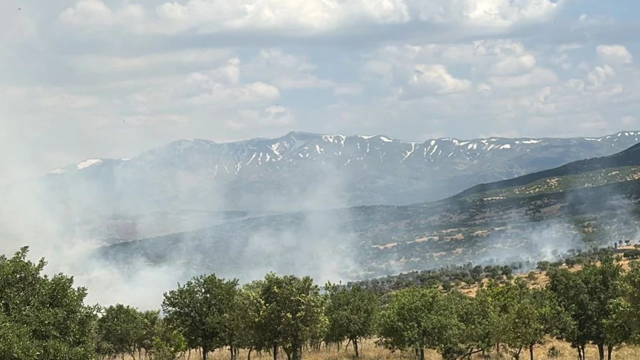 Bingöl'de orman yangını: Ekiplerin hızlı müdahalesi faciayı önledi