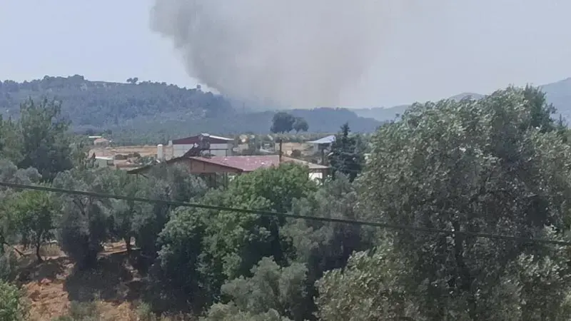 Muğla'da tarım arazisinde çıkan yangın ormana sıçradı
