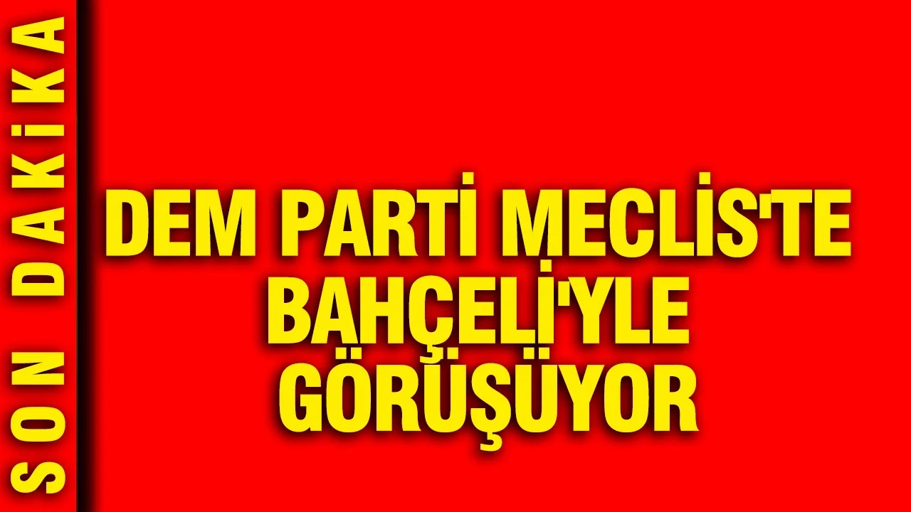 DEM Parti Meclis'te Bahçeli'yle görüşüyor