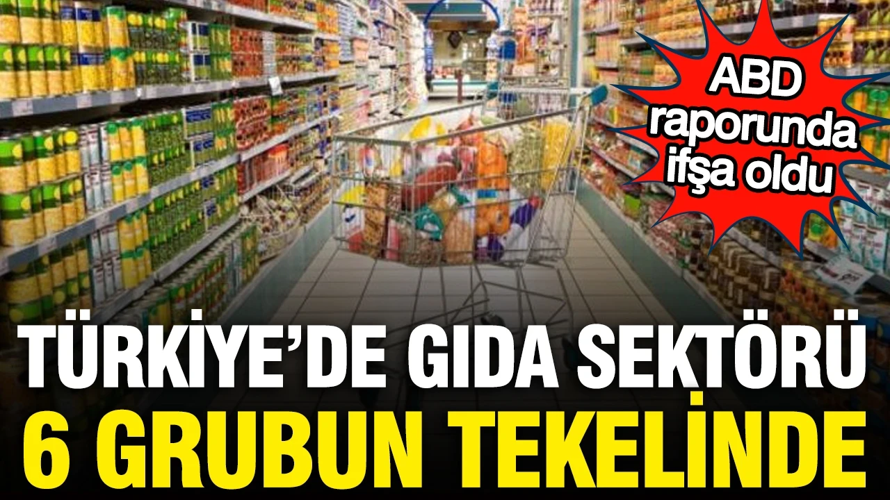 ABD raporu ifşa etti: Türkiye'de gıda ticareti 6 grubun tekelinde